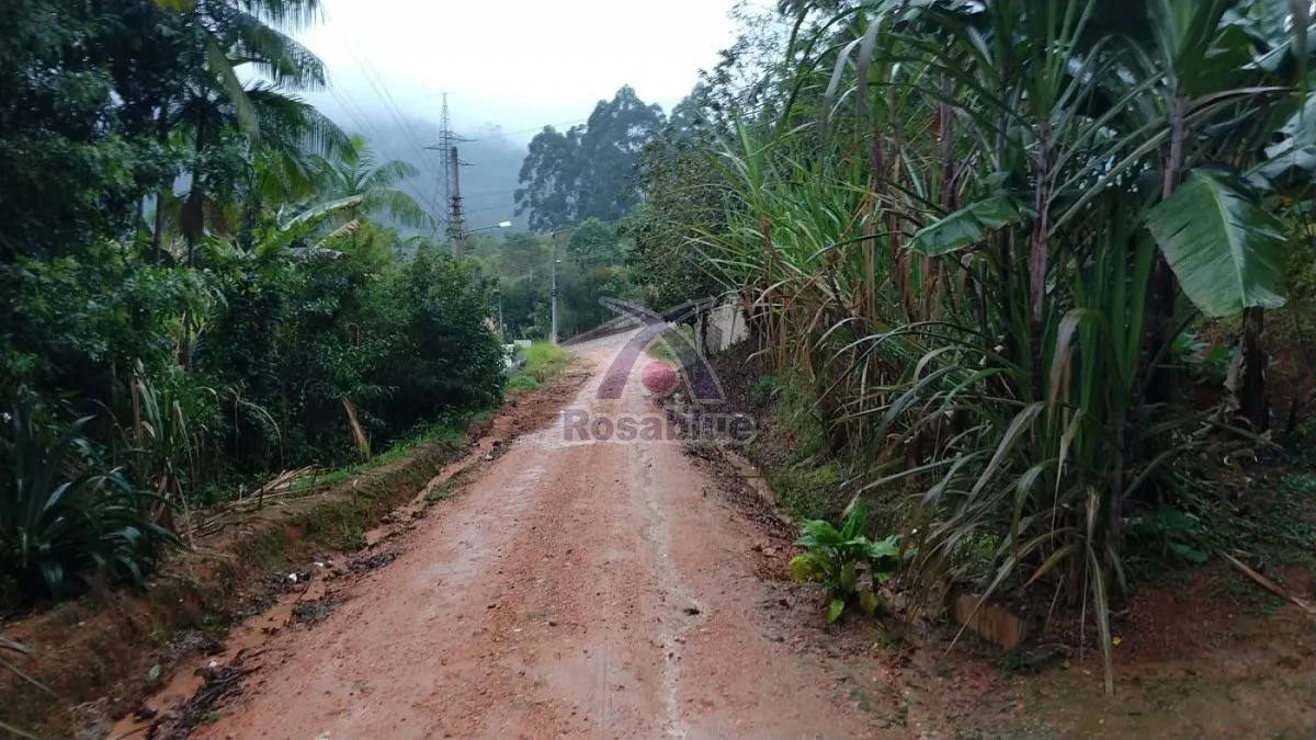 CASA-IBIRAMA — foto 4