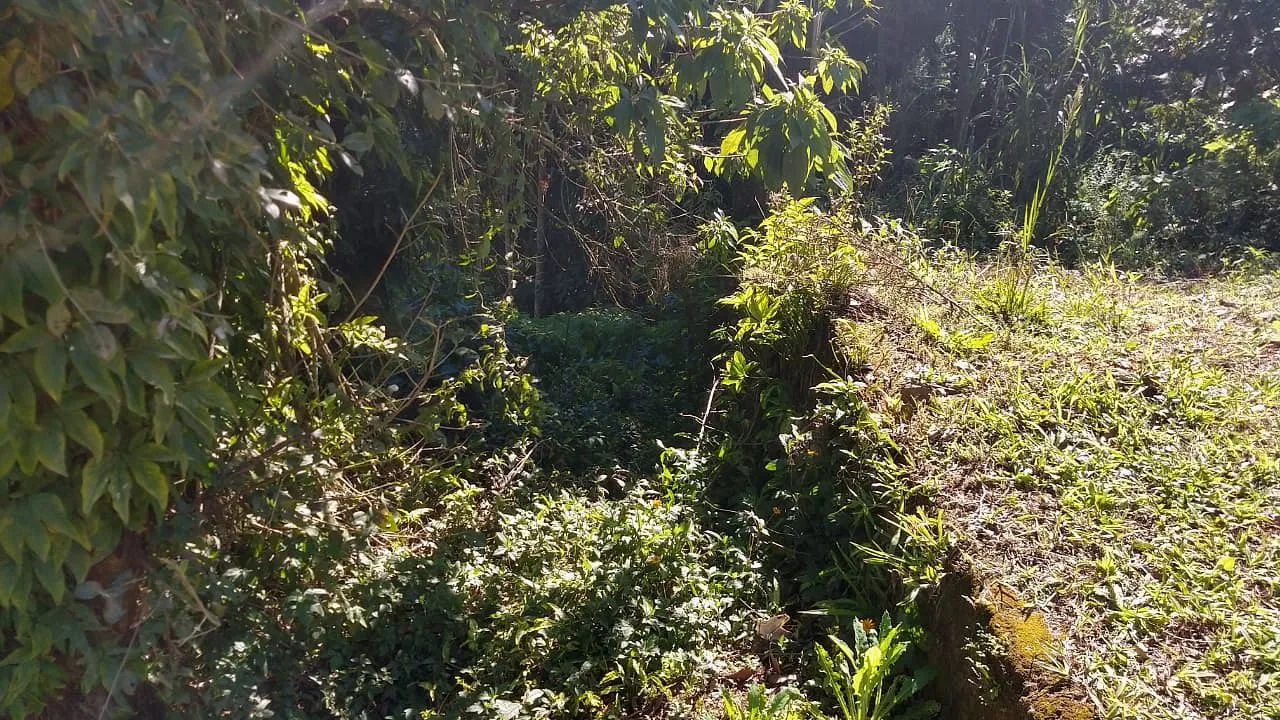 TERRENO IBIRAMA — foto 3