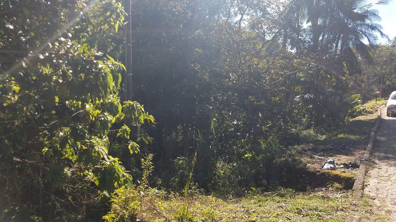 TERRENO IBIRAMA — foto 4