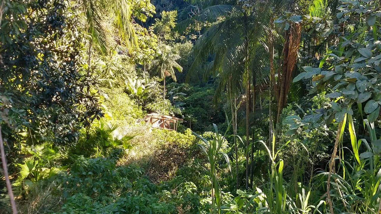 TERRENO IBIRAMA — foto 6
