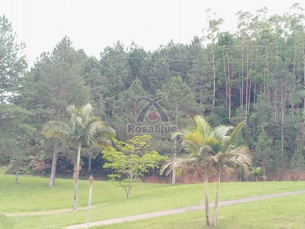 FAZENDA EM VITOR MEIRELES - foto 1