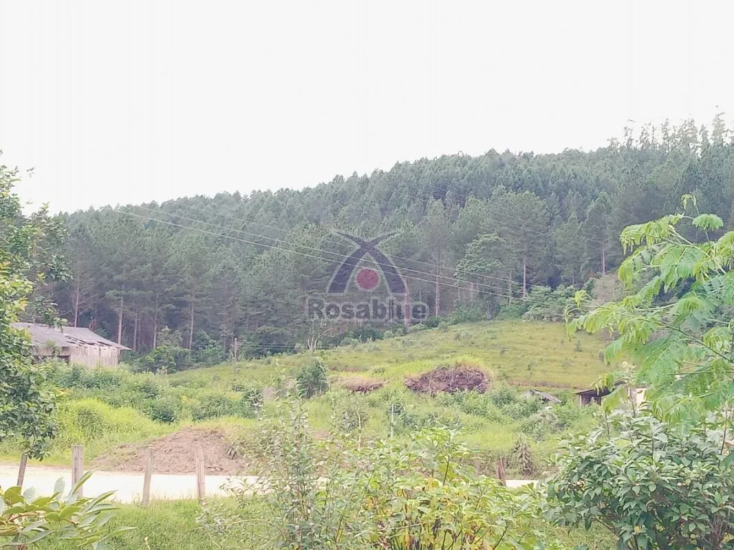 FAZENDA EM VITOR MEIRELES — foto 3