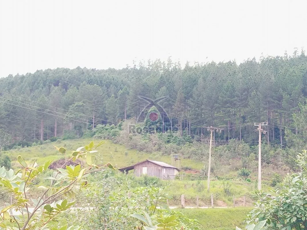 FAZENDA EM VITOR MEIRELES — foto 4