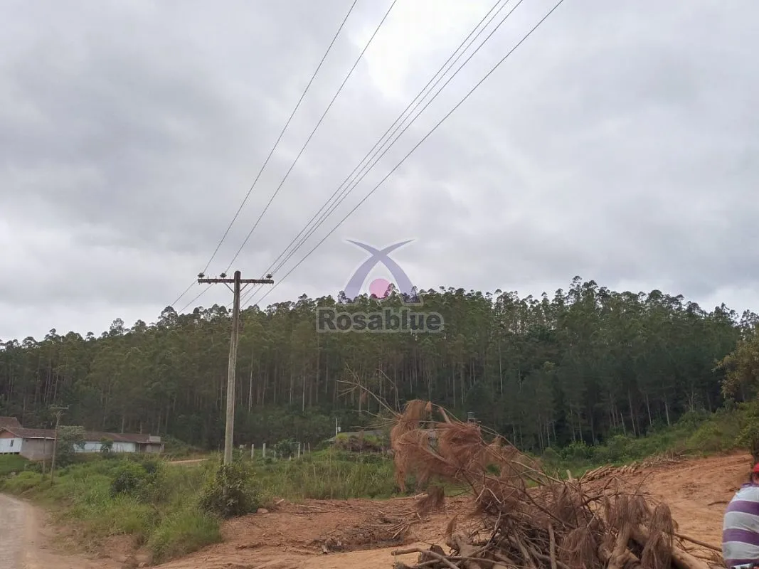 FAZENDA EM VITOR MEIRELES — foto 6