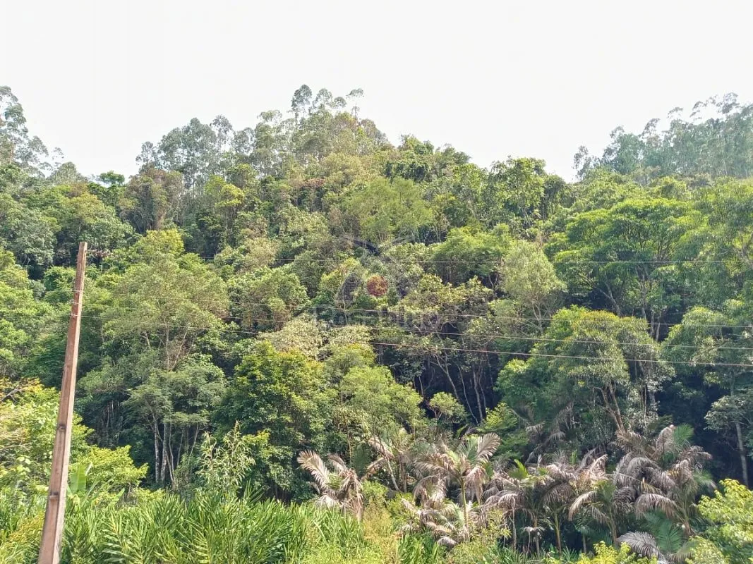 SITIO EM VITOR MEIRELES — foto 2