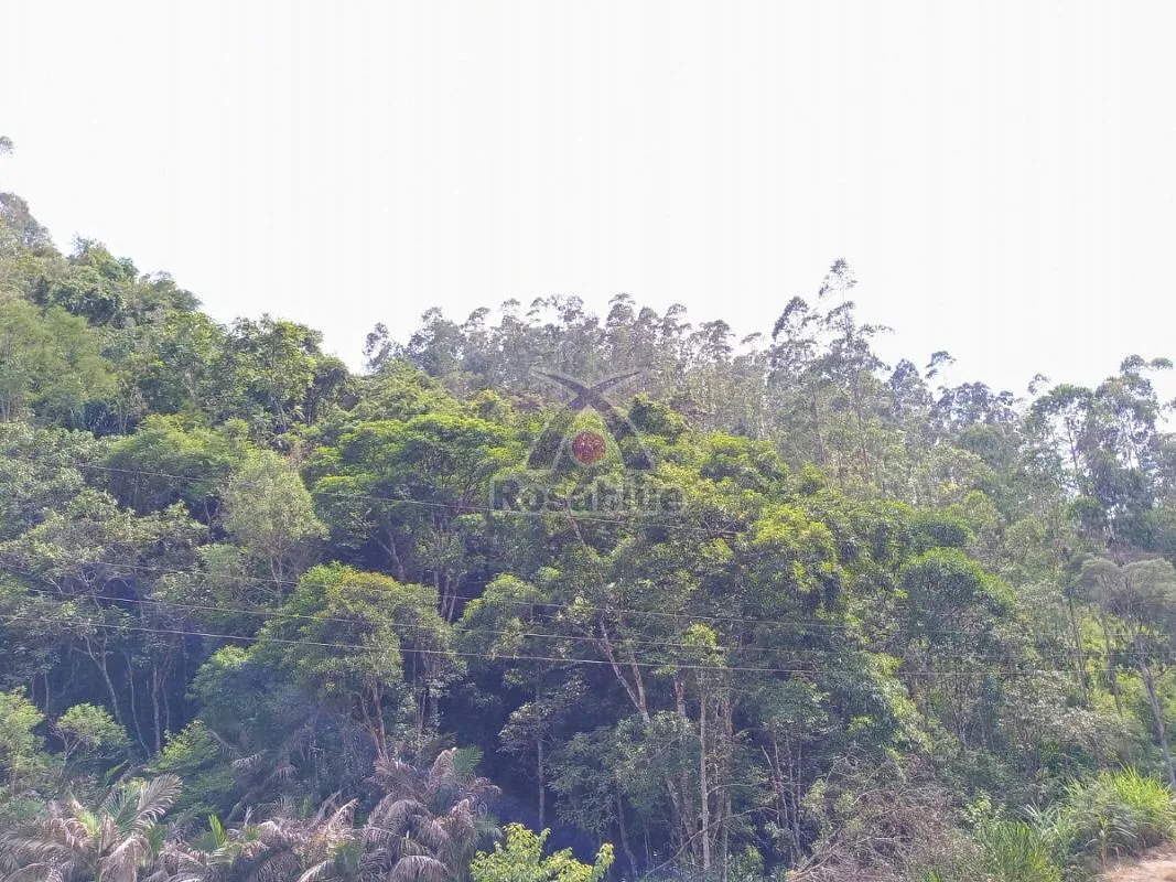 SITIO EM VITOR MEIRELES — foto 3