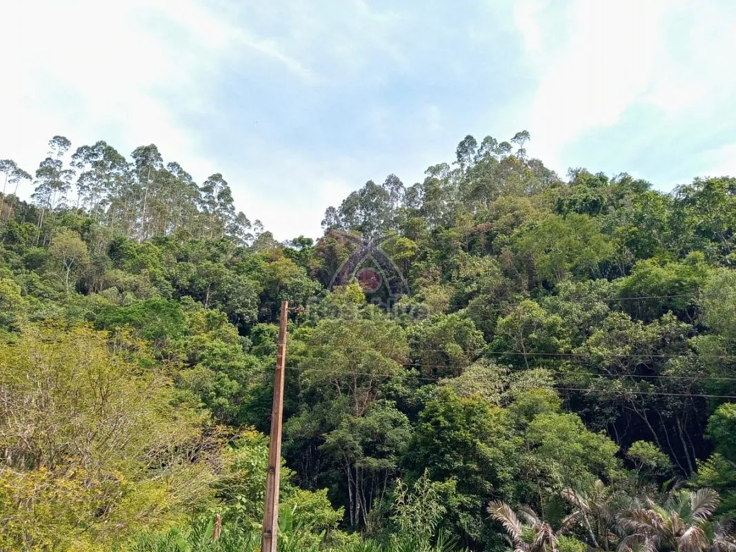 SITIO EM VITOR MEIRELES — foto 6