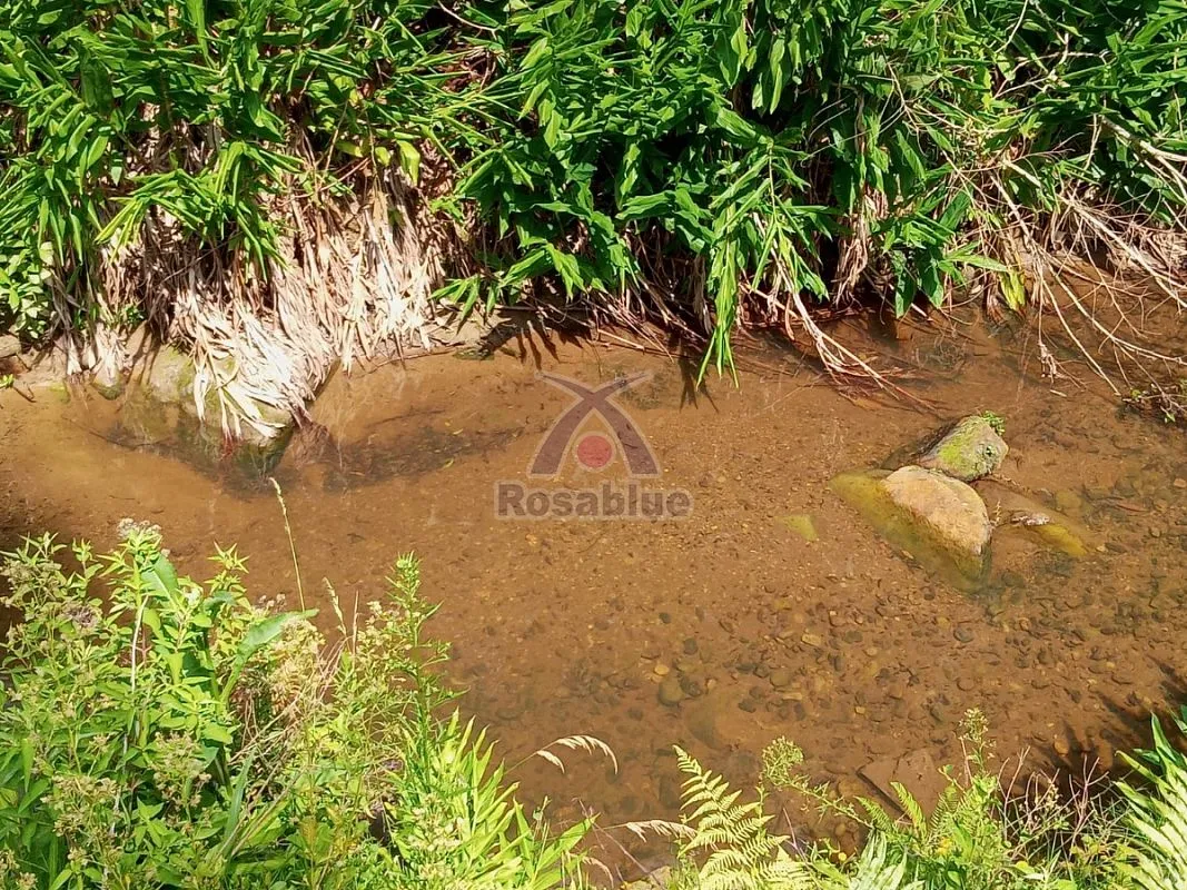 SITIO EM VITOR MEIRELES — foto 7