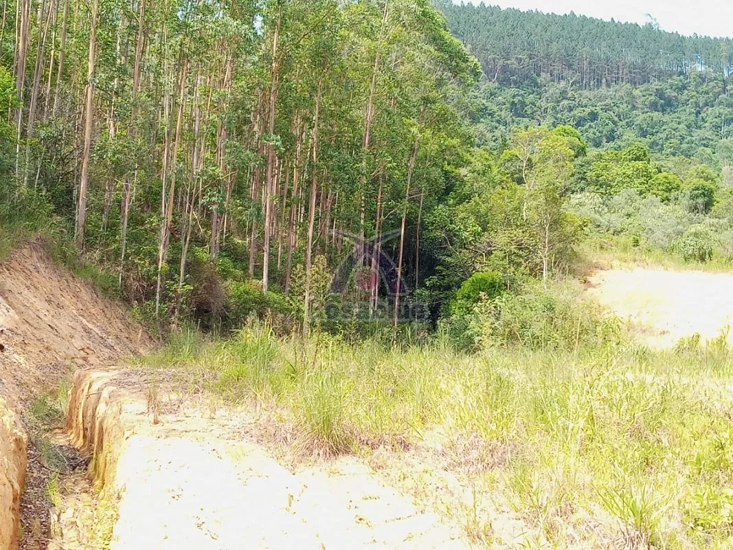 SITIO EM VITOR MEIRELES - foto 1