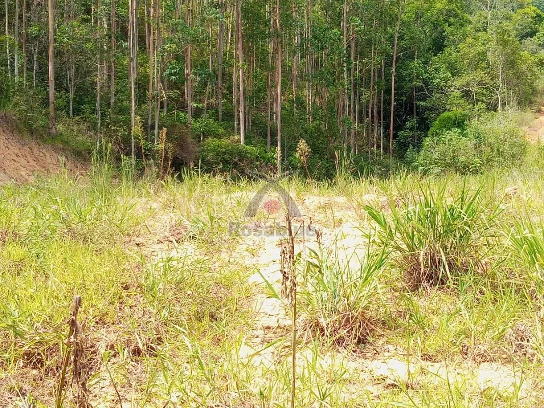 SITIO EM VITOR MEIRELES — foto 2