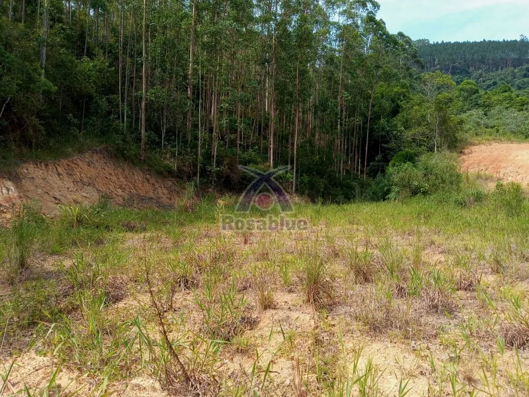 SITIO EM VITOR MEIRELES — foto 3