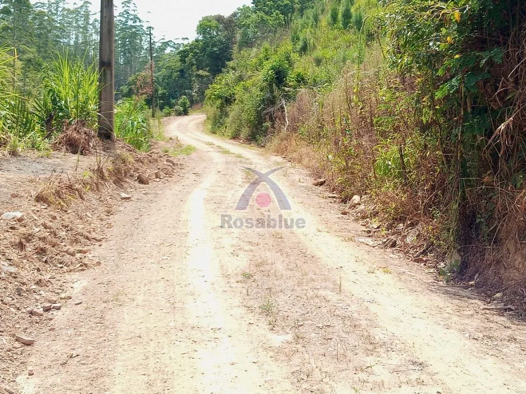 SITIO EM VITOR MEIRELES — foto 4