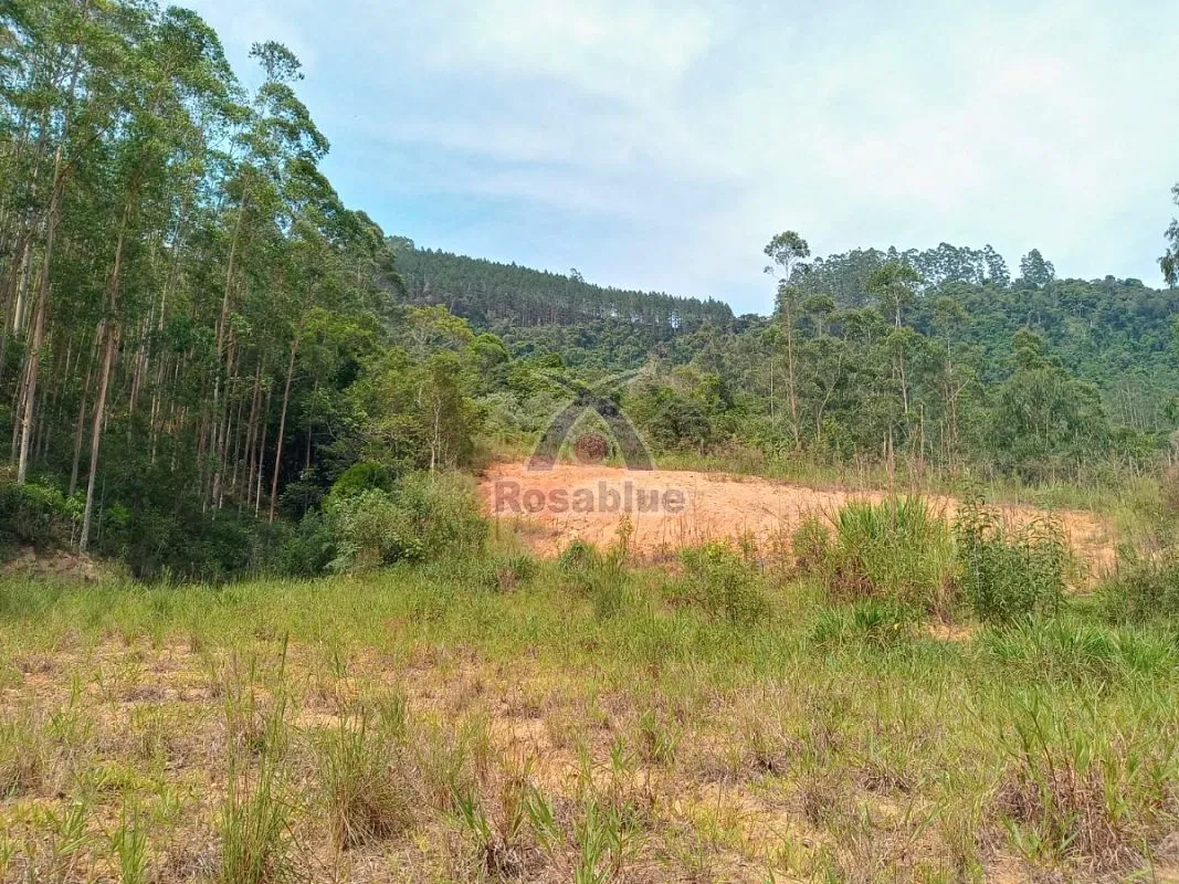 SITIO EM VITOR MEIRELES — foto 5