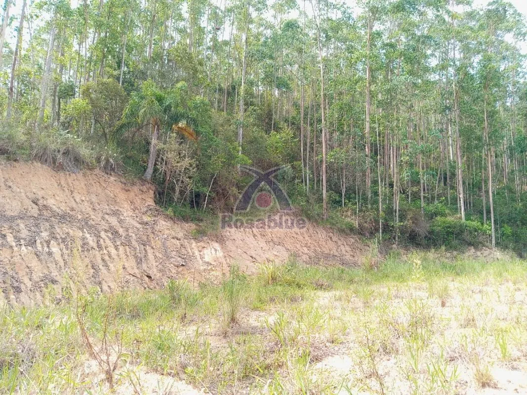 SITIO EM VITOR MEIRELES — foto 7