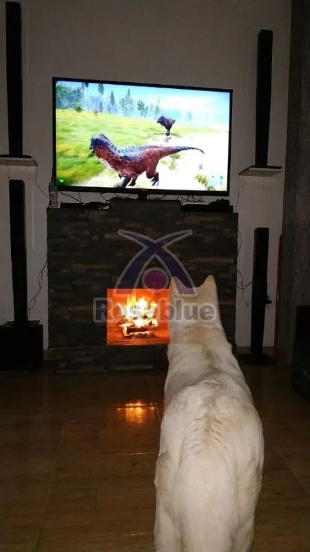 Casa de Alvenaria — foto 5