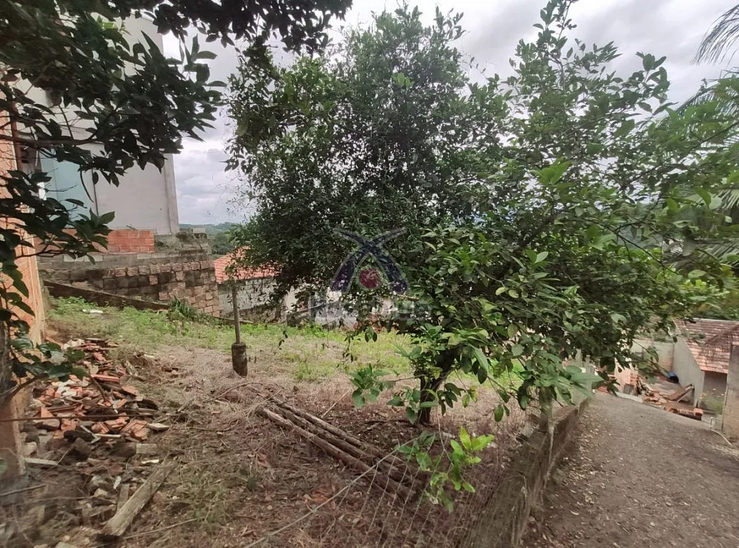 TERRENO IBIRAMA - foto 1