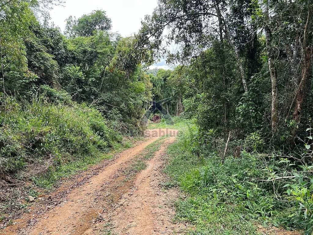 SITIO VITOR MEIRELES — foto 2