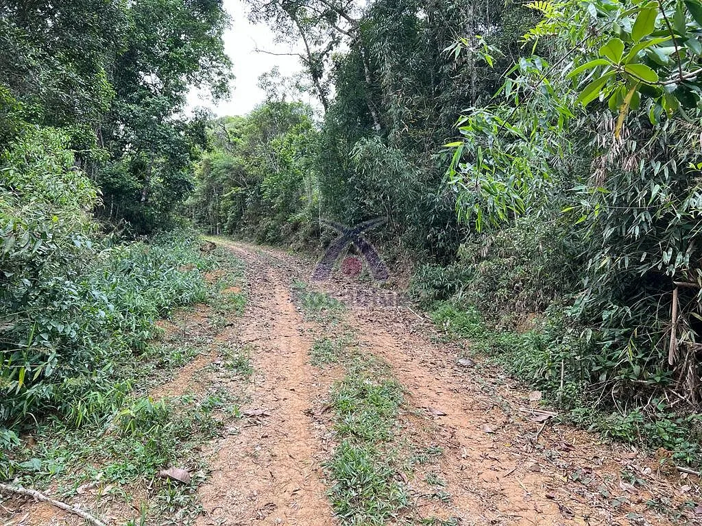 SITIO VITOR MEIRELES — foto 3