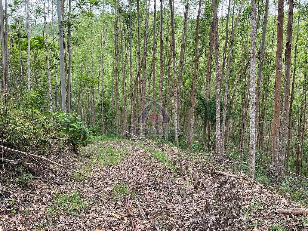 SITIO VITOR MEIRELES — foto 5
