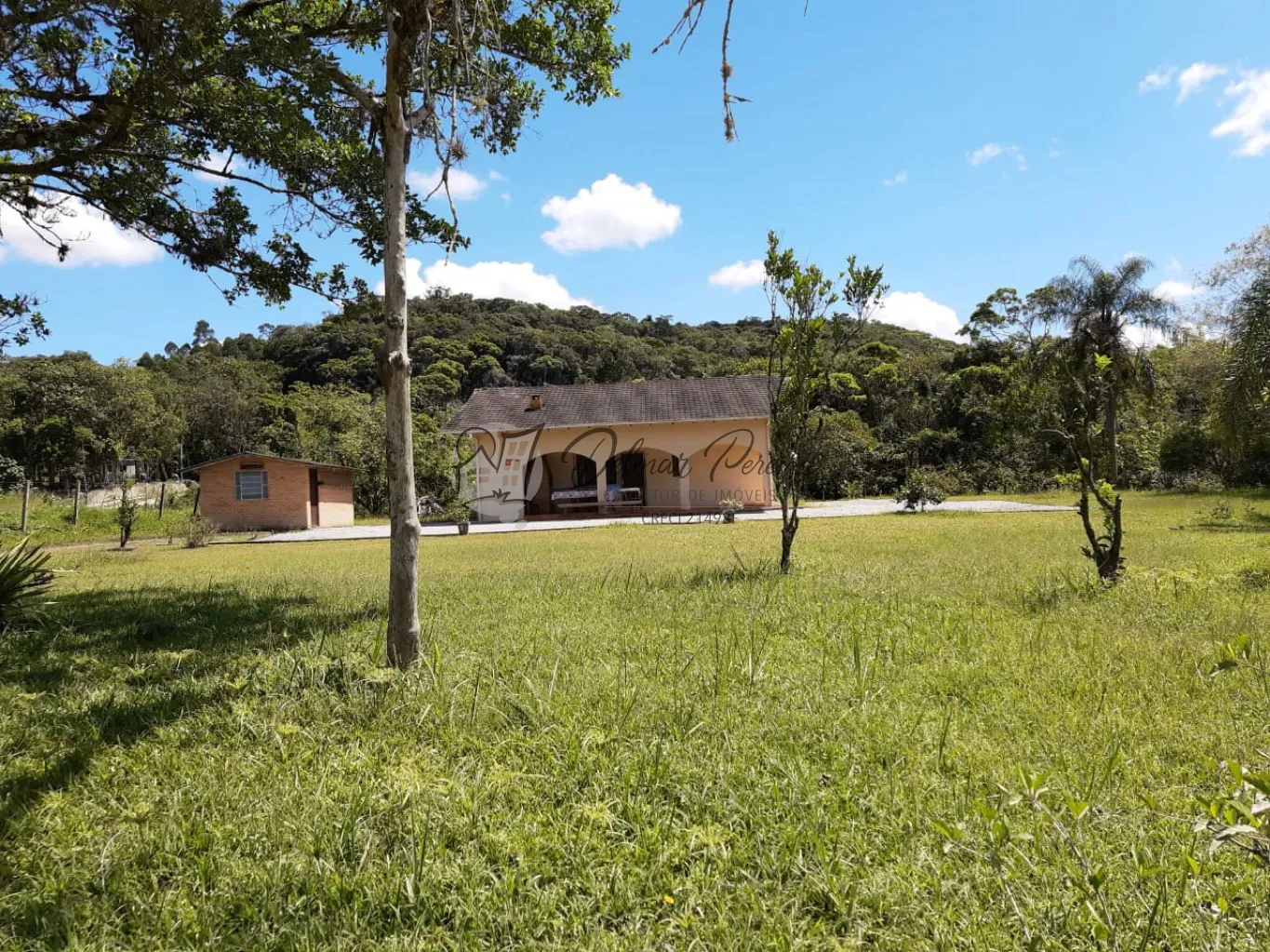 Sítio em excelente localização, amplo terreno para possível edificação de Galpões. - foto 1