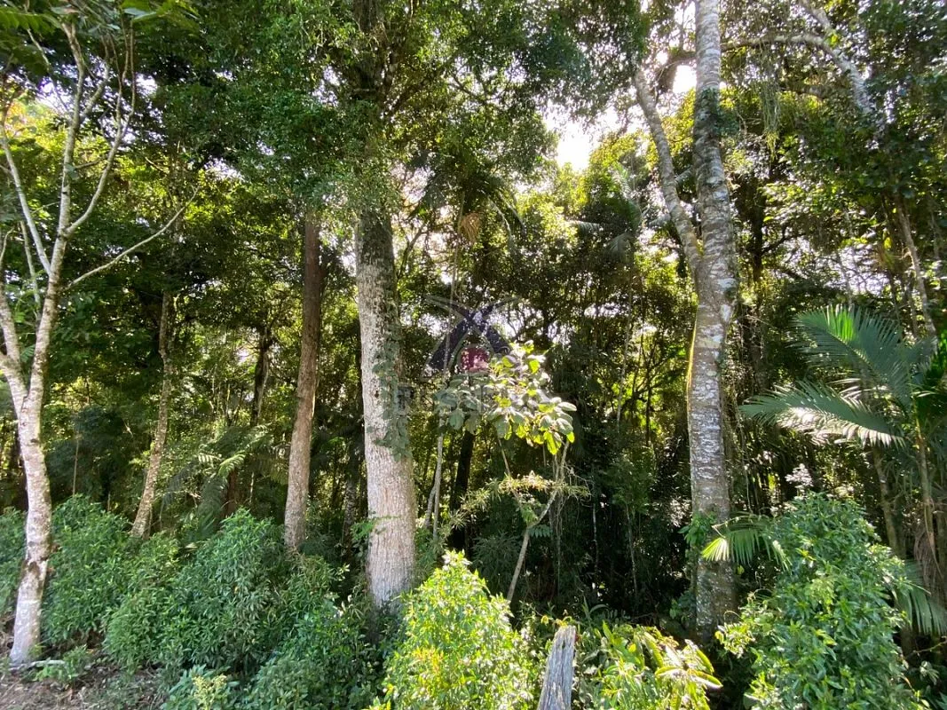 Terreno Rural — foto 6