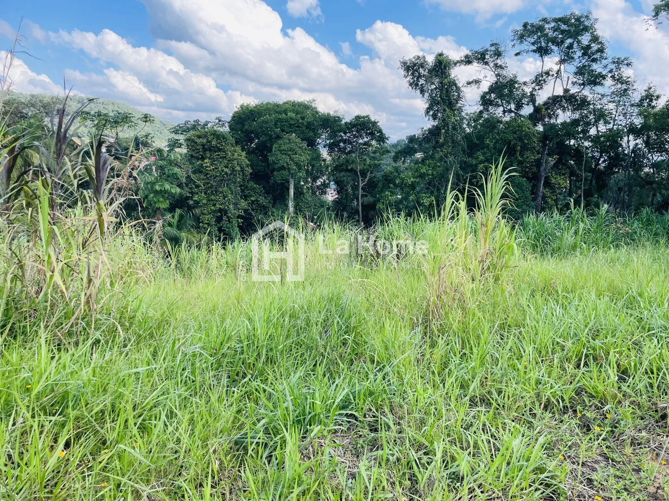 Terreno com 420m à venda em Blumenau, bairro Tribess — foto 4