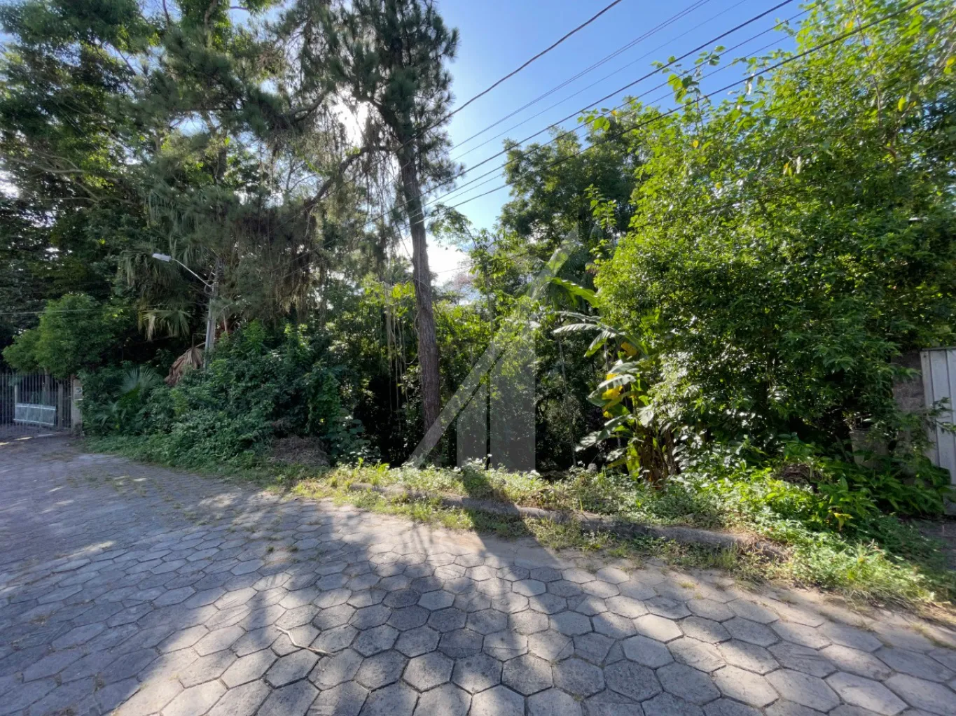 Amplo terreno no bairro Salto divisa com Escola Agrícola, localizado em rua sem saída, com excelente localização, o terreno tem 1349,65 m.com duas frentes. — foto 7