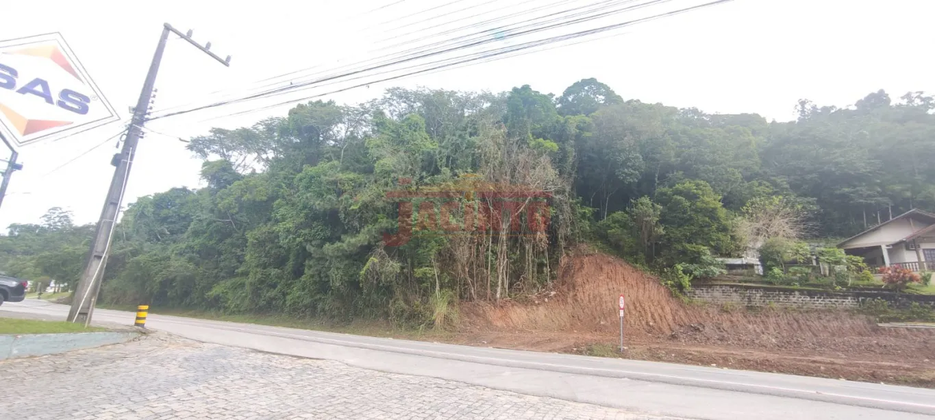 Ótimo terreno de 22.356,00 m, próximo ao paraíso dos pôneis em Gaspar. - foto 1