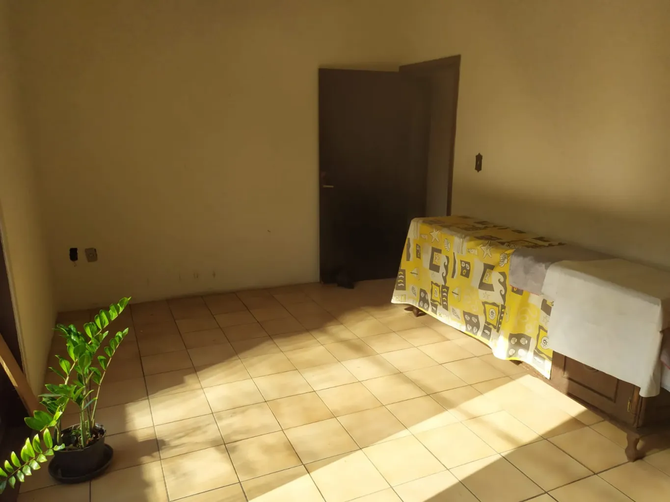 Prédio comercial localizado em corredor de serviço em Blumenau — foto 5