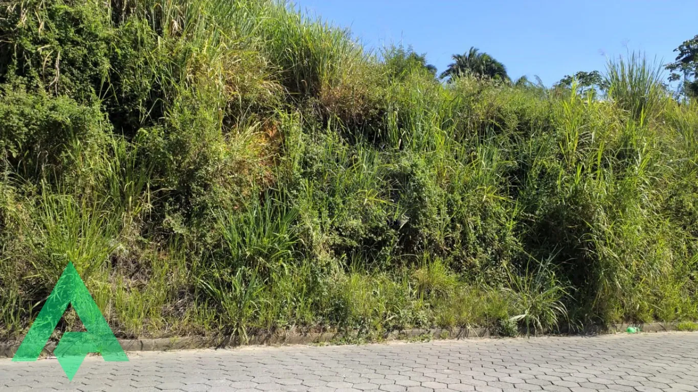 Excelente terreno, no Bairro Itoupavazinha! — foto 5