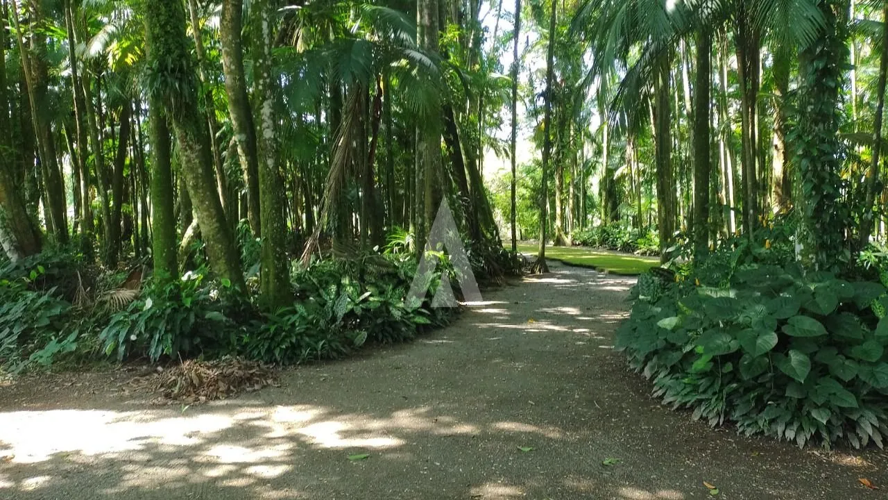 Chácara com 2 quarto(s) à venda no bairro Vila Nova em Joinville, por R$ 1.600.000.00. — foto 4