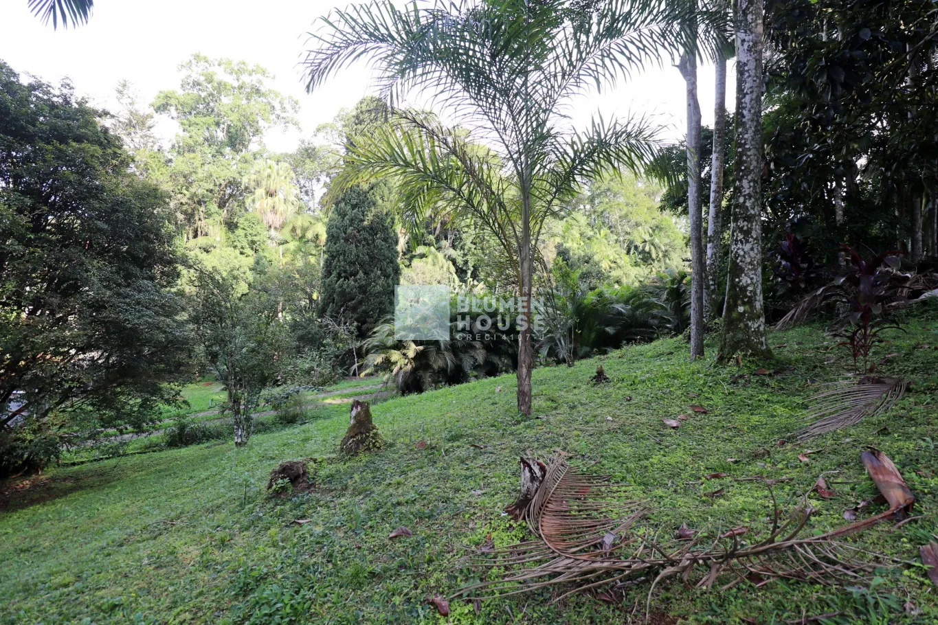 Amplo terreno localizado no bairro Escola Agrícola! — foto 2