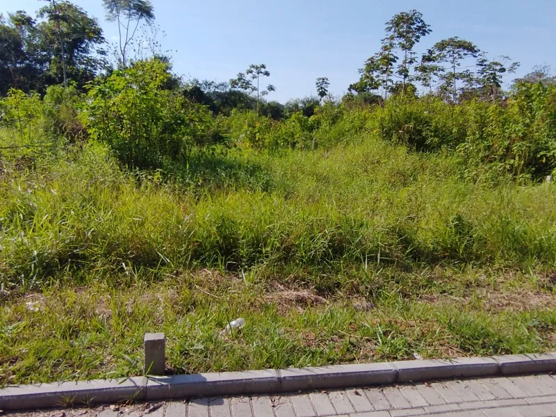 Terrenos Badenfurt 262 — foto 4