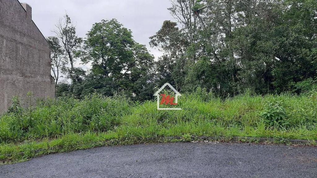 Terreno à venda, 464 m por R$ 269.000,00 - Água Verde - Blumenau/SC — foto 2