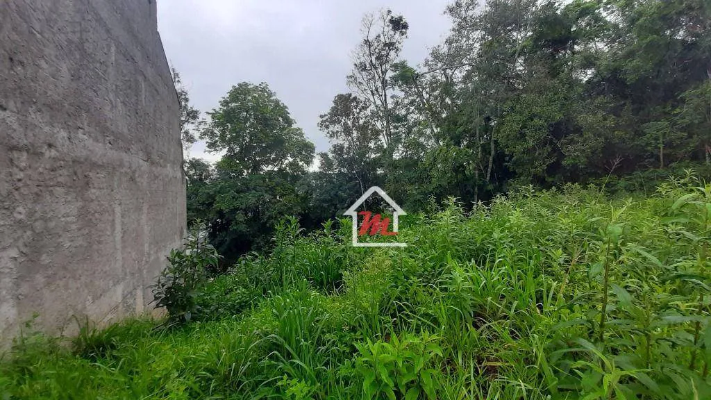 Terreno à venda, 464 m por R$ 269.000,00 - Água Verde - Blumenau/SC — foto 4