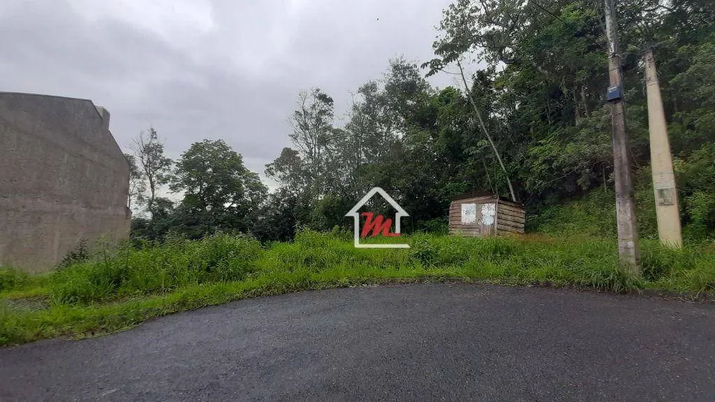 Terreno à venda, 464 m por R$ 269.000,00 - Água Verde - Blumenau/SC — foto 6
