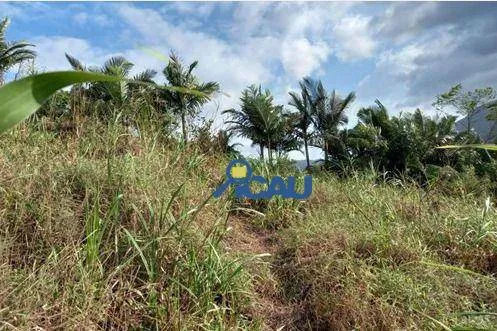 Terreno à venda, 3360 m por R$ 998.500,00 - Wunderwald - Pomerode/SC — foto 5