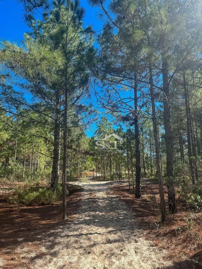 Terreno no Loteamento Comercial no Dunas do Moçambique - Florianópolis — foto 7
