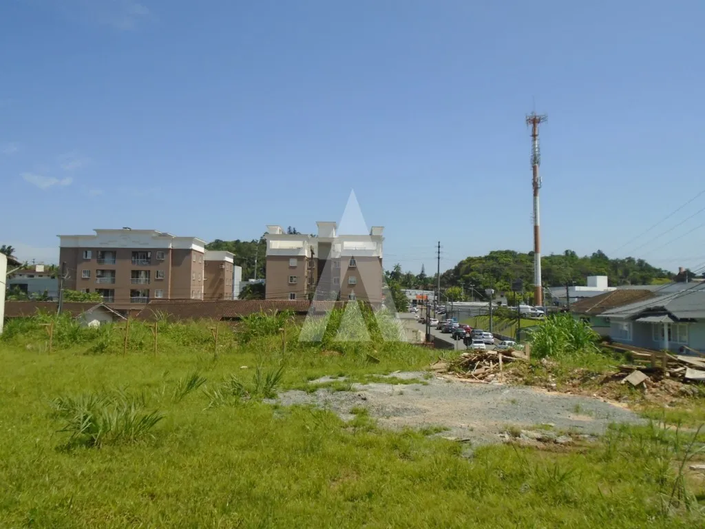 Terreno para alugar por R$ 2900.00, 962.00 m2 - GLORIA - JOINVILLE/SC — foto 6