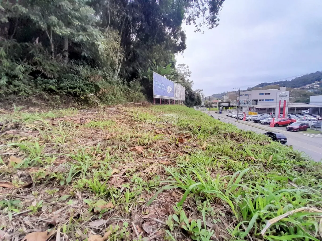 Terreno Comercial para locação Bairro Vorstadt — foto 3