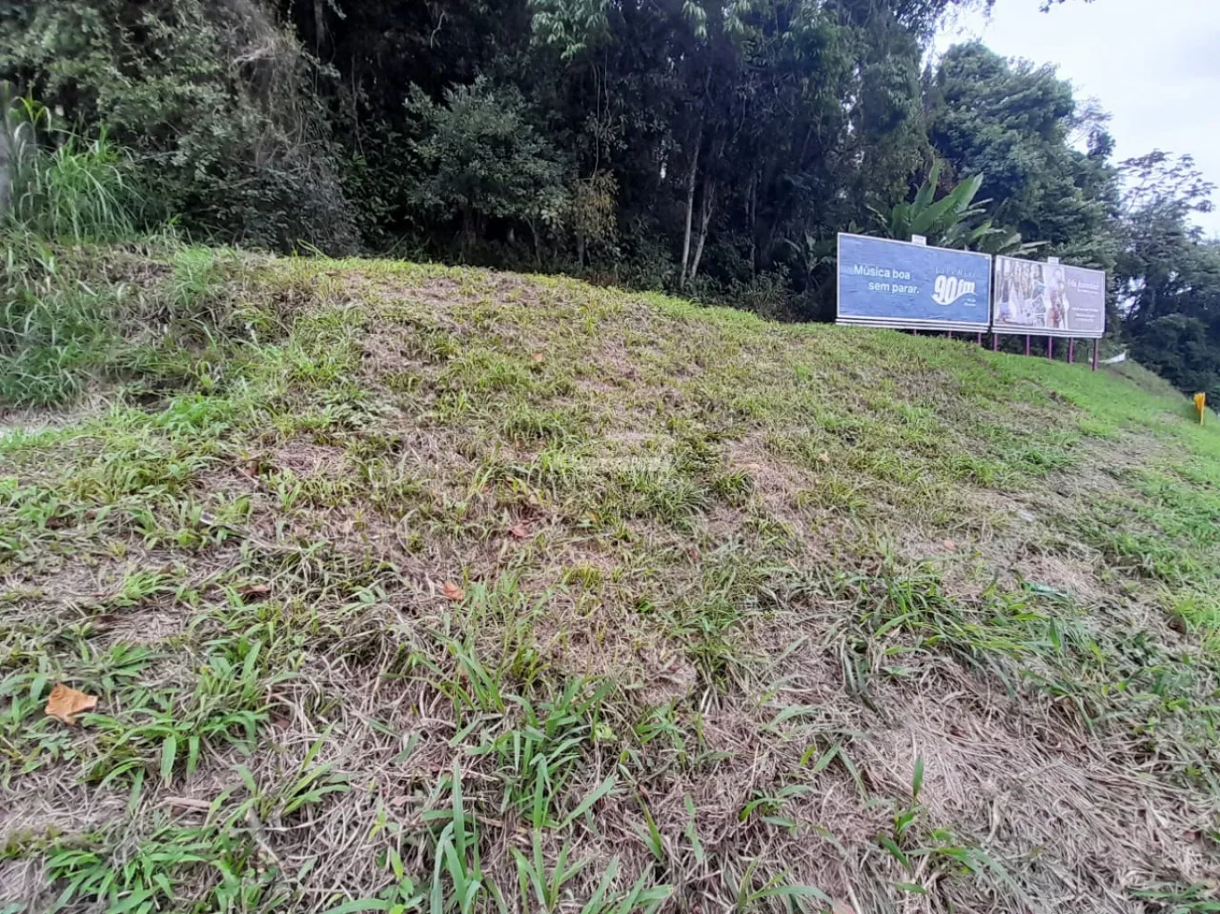 Terreno Comercial para locação Bairro Vorstadt — foto 6