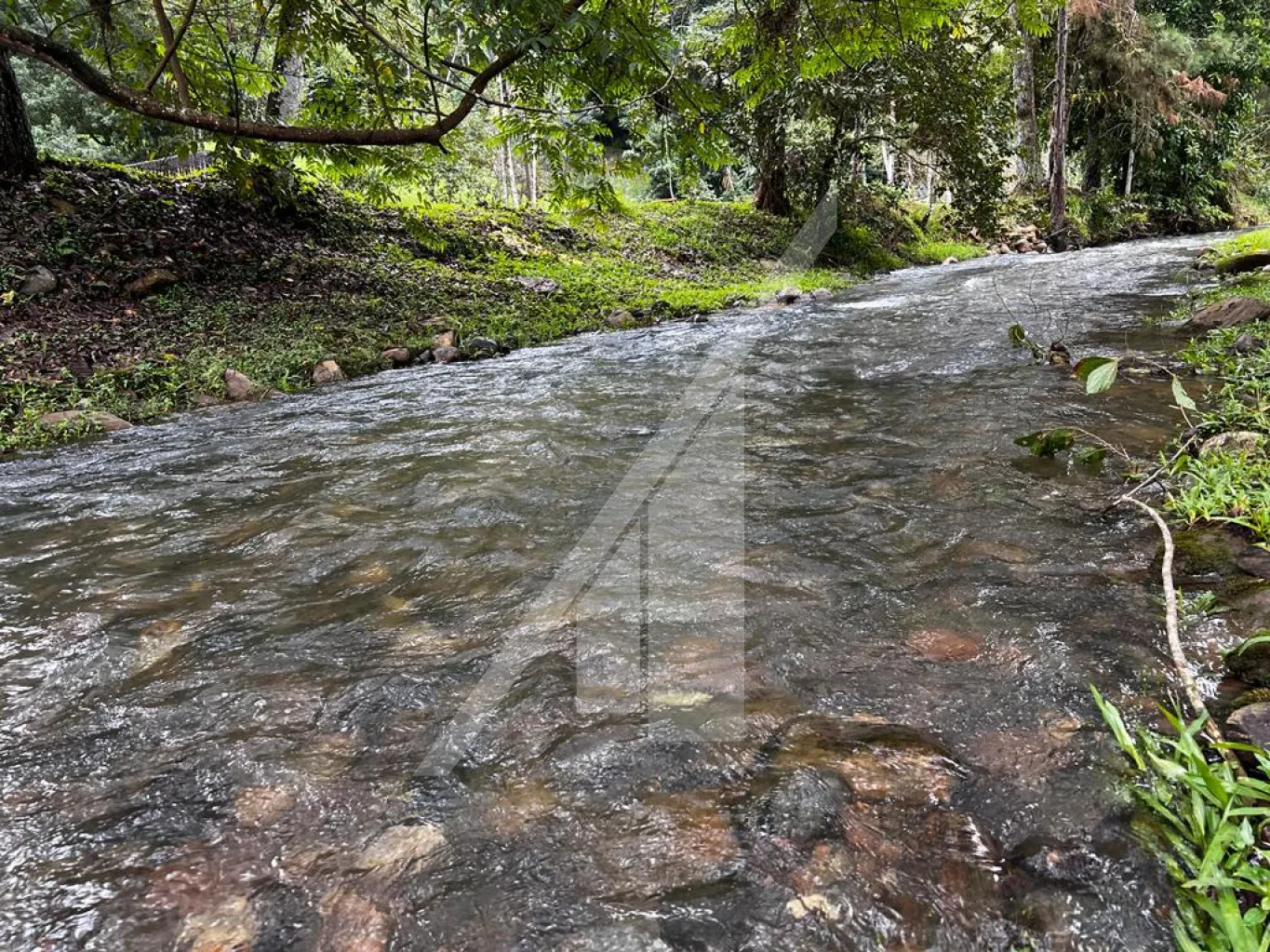 Linda propriedade com infra estrutura completa, localizado a 15 Km dos centros de Blumenau e Gaspar-SC. Apresenta terreno com área escriturada de 159.230,00 m2, aproximadamente 20.000,00 sem mata, altitude 150m. — foto 5