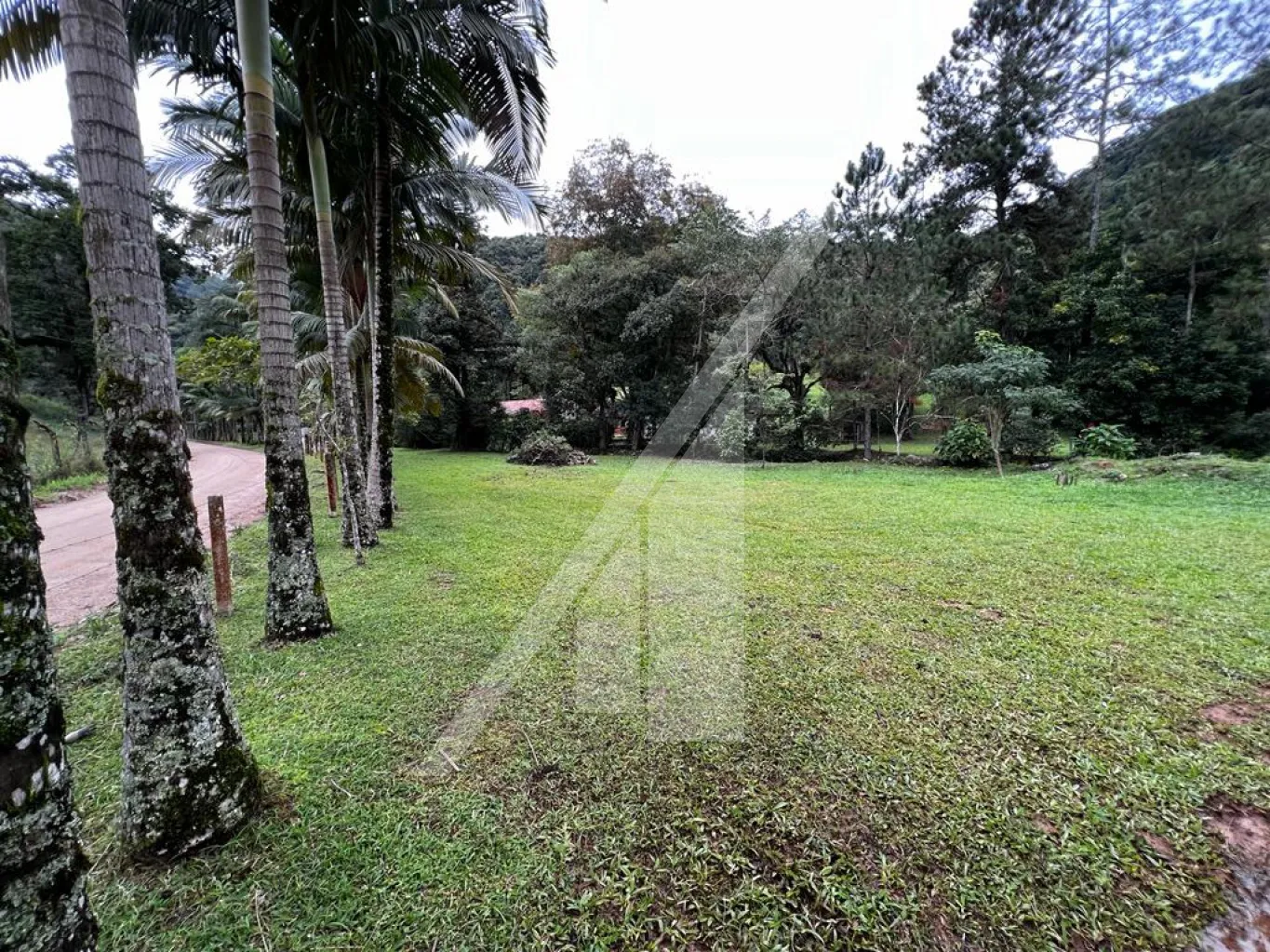 Linda propriedade com infra estrutura completa, localizado a 15 Km dos centros de Blumenau e Gaspar-SC. Apresenta terreno com área escriturada de 159.230,00 m2, aproximadamente 20.000,00 sem mata, altitude 150m. — foto 6