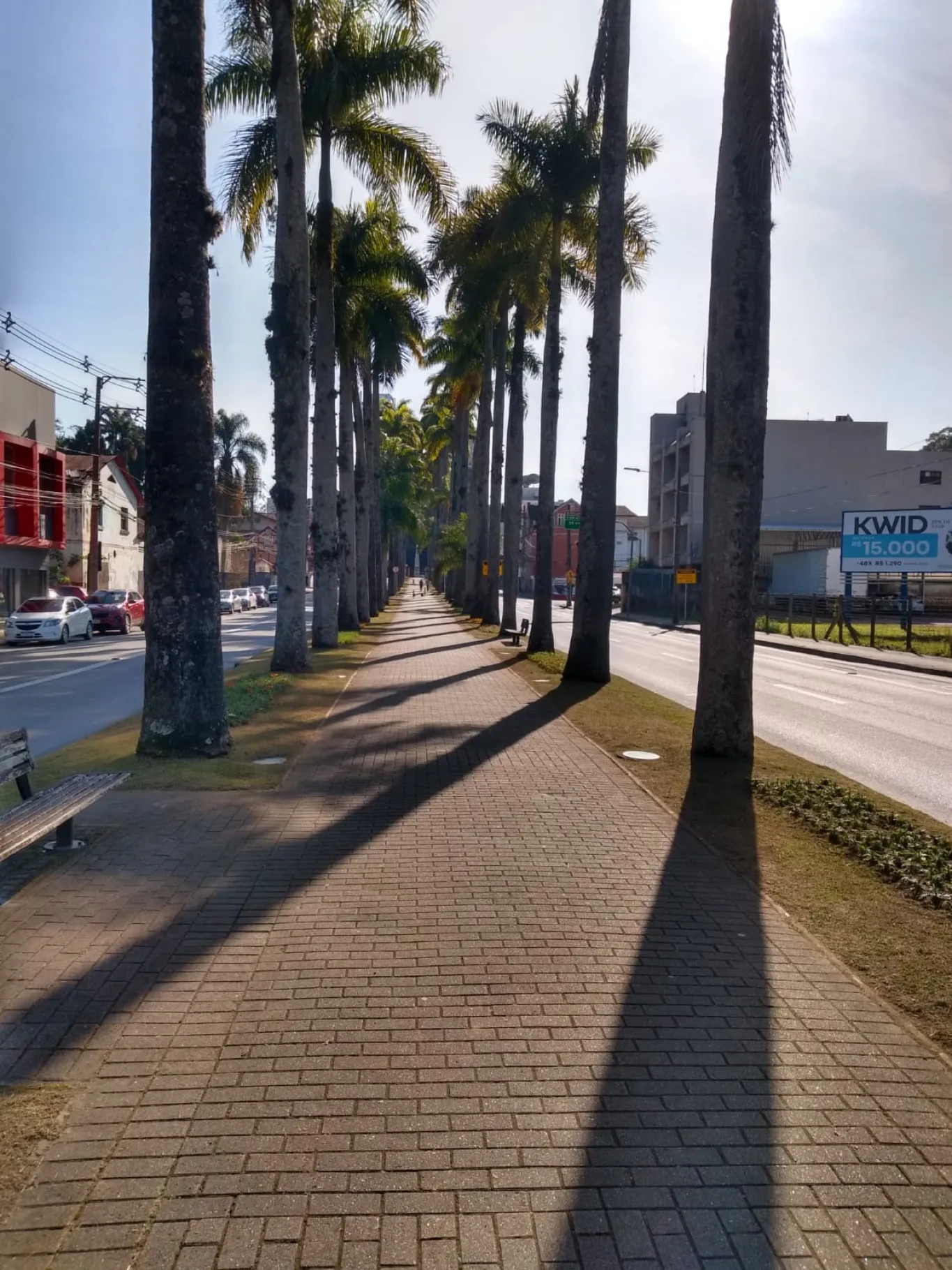 Salas amplas, local privilegiado — foto 2