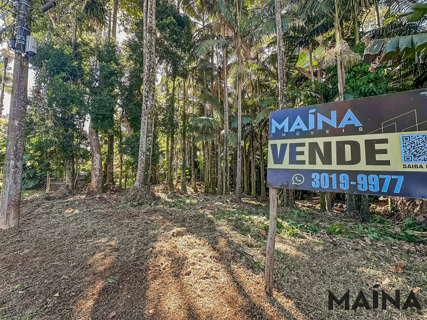 TERRENO PLANO — foto 2