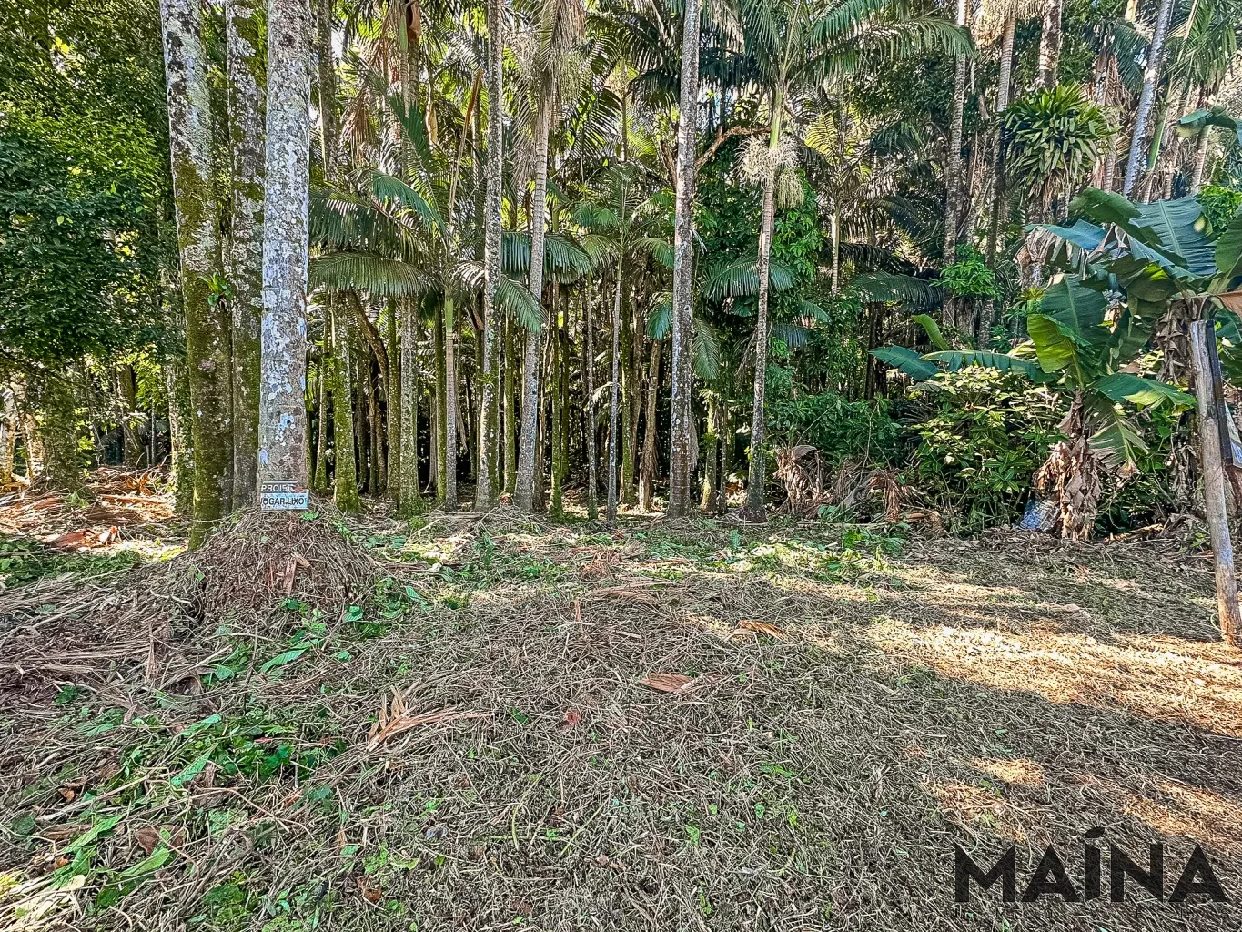 TERRENO PLANO — foto 3