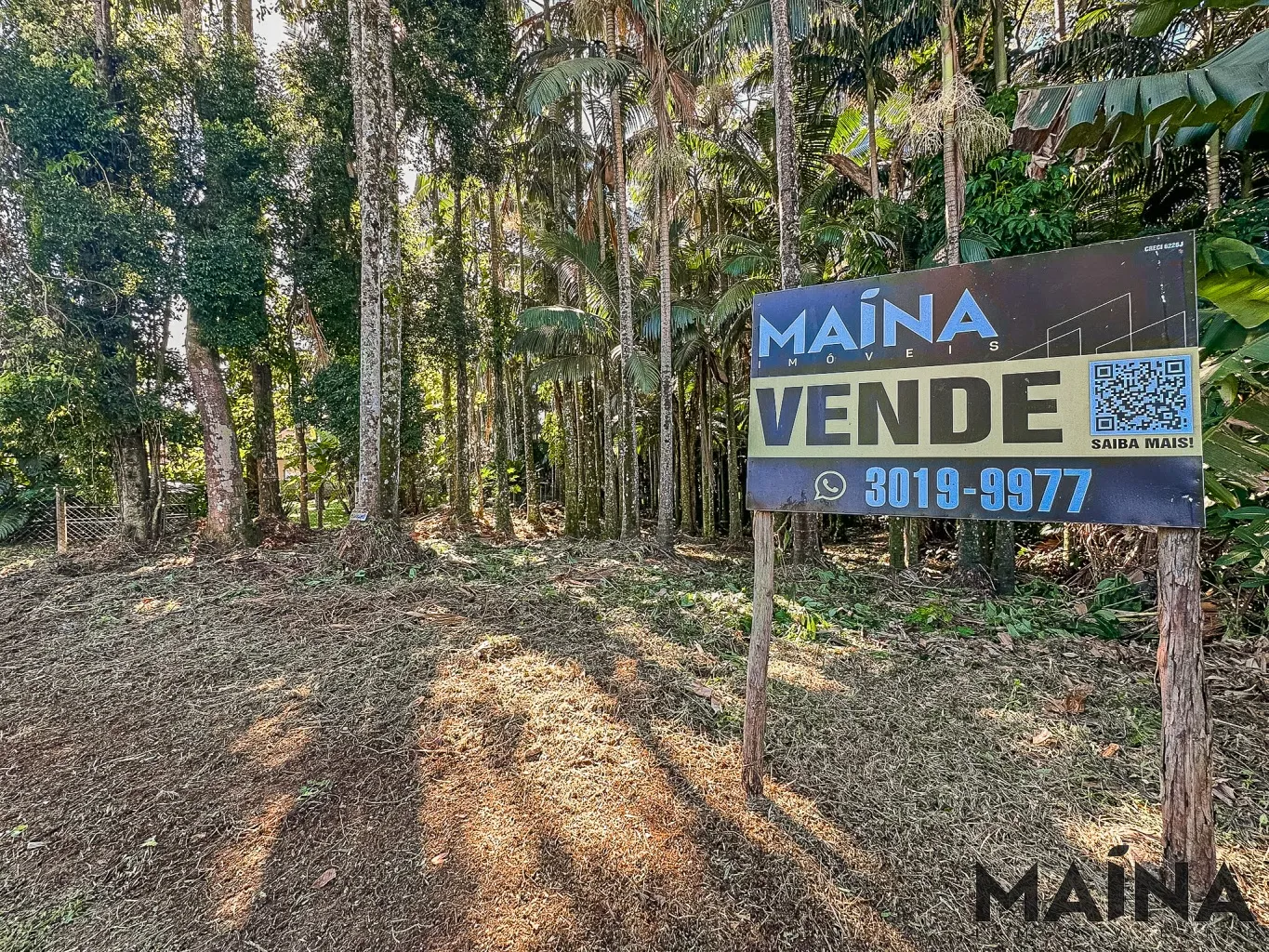 TERRENO PLANO — foto 4