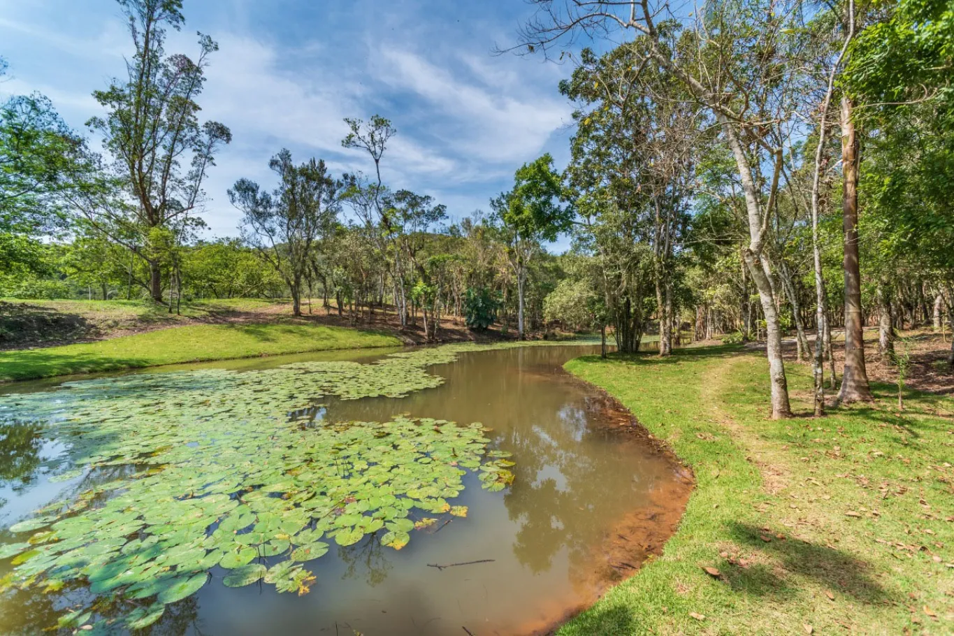CONDOMÍNIO RESIDENCIAL DE CASAS DE CAMPO Os catarinenses descobrem como adotar o estilo de vida tranquilo do campo com a mordomia de um condomínio, sem abrir mão da conveniência da cidade. Os Lotes de 600 a 2400m, são ideais para sua chácara ou casa de campo. — foto 5