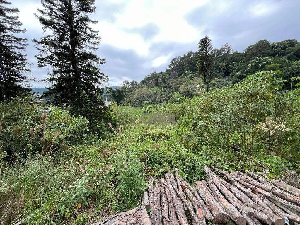 Terreno à venda, 35106 m por R$ 9.500.000,00 - Badenfurt - Blumenau/SC — foto 5