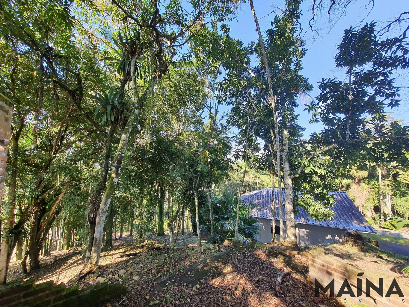 Belíssimo terreno com 3.462m2 em parte nobre da Coronel Federsen. — foto 3